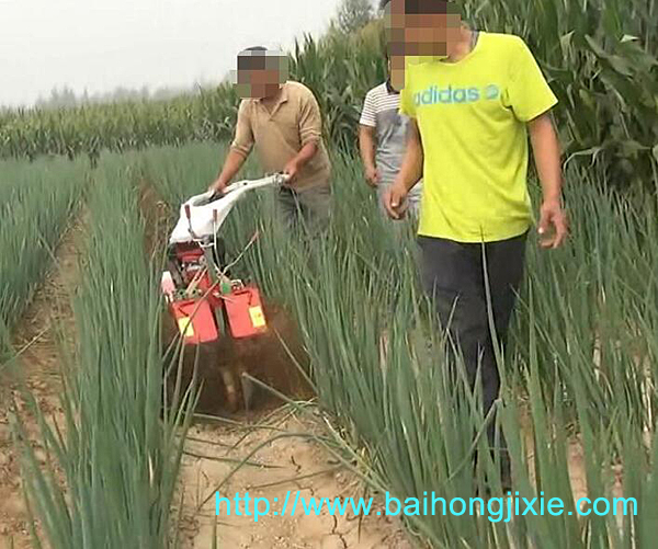 開溝91麻豆福利视频在大蔥地中的應用